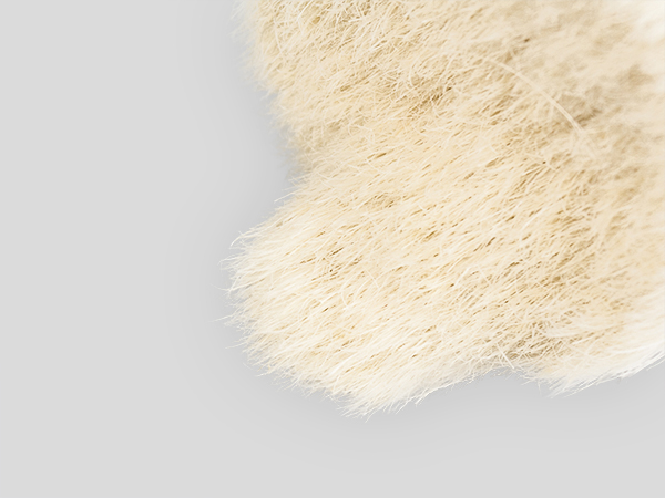 Borste hell gebleicht